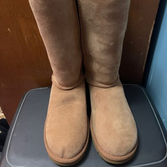 UGG® Classic II Genuine Shearling Lined Tall Boot - Picture 13 of 16